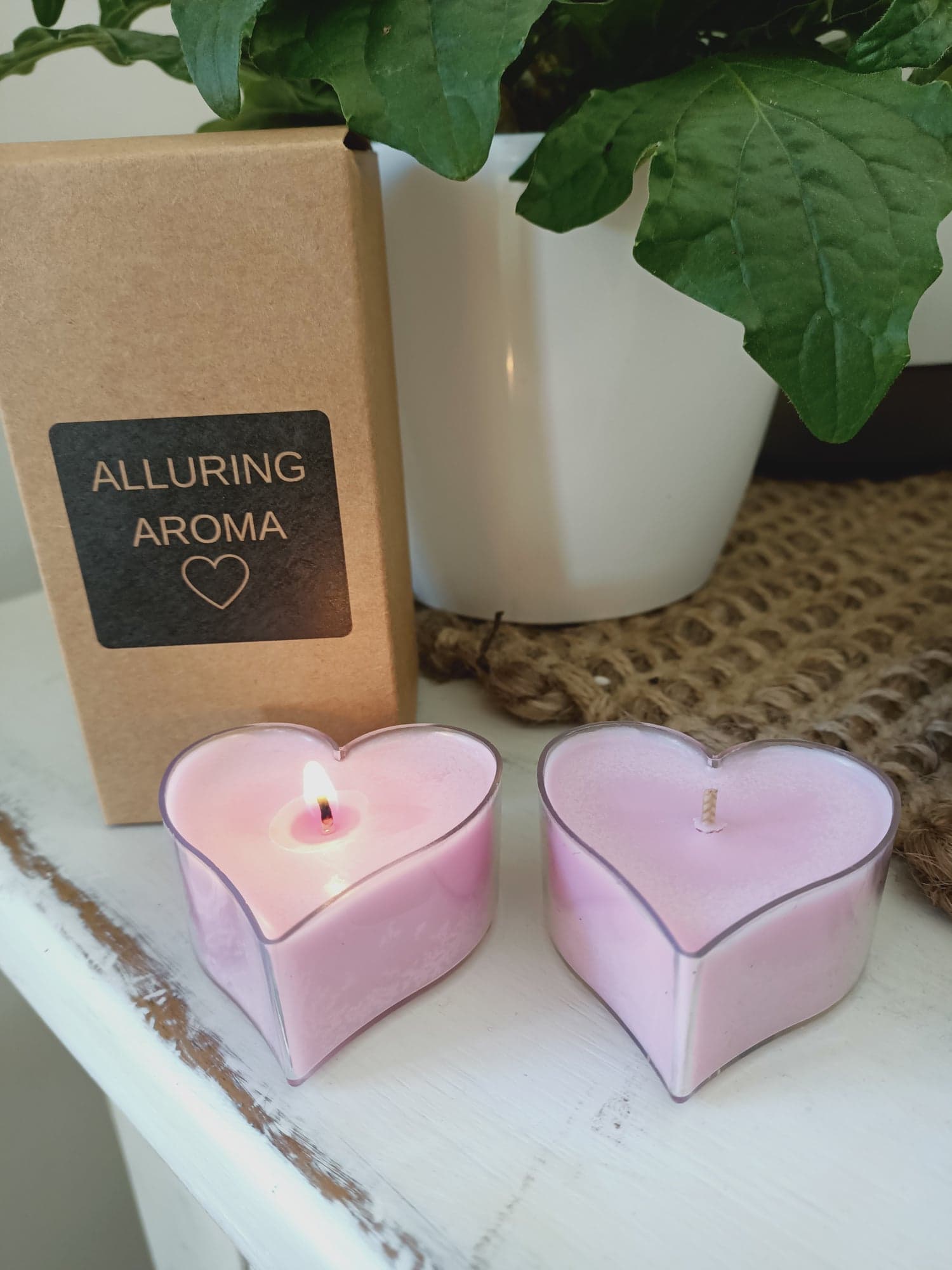Maxi Lights & Travel Tins